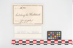 Etikett zu Bronzegürtelblech (NHMW-PRAE-026743)